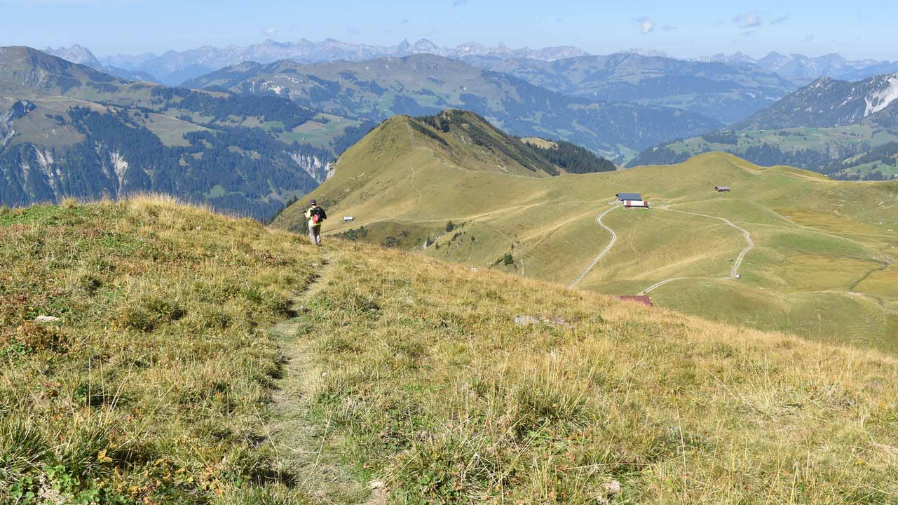 Vollständig von den Schweizer Alpen umgeben, gelten Gstaad, Rougemont und das gesamte Saanenland zurecht als Fünf-Sterne-Sommerdestination. Hunderte von gut unterhaltenen Wanderwegen durchziehen die Berggipfel und die Talböden. Unsere freundlichen und begeisterten Guides führen dich und deine Familie und Freunde durch ausgedehnte Alpweiden, zu abgelegenen Bergseen oder durch unberührte Waldlandschaften. Das meiste der Naturschönheit in der Umgebung von Gstaad kann nur auf Wanderwegen erlebt werden, geschützt vor Menschenmassen und viel befahrenen Strassen.